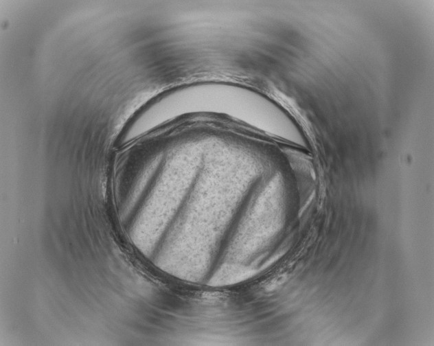 X0000088830060200706281806