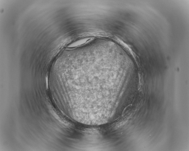 X0000088830061200706281806