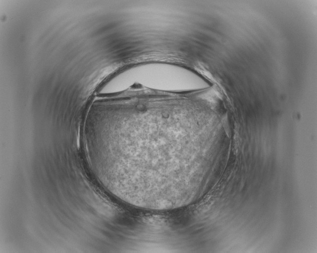 X0000088830062200706281806