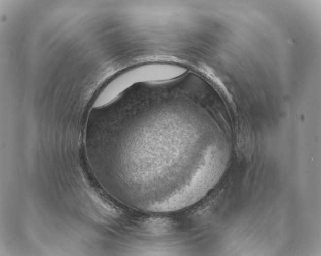 X0000088830063200706281806