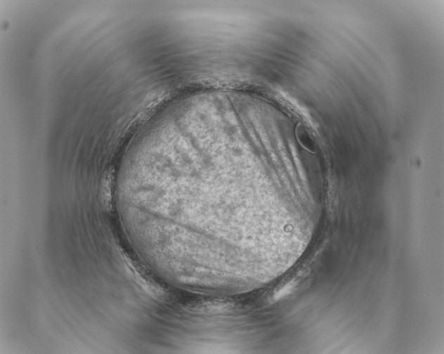 X0000088830065200706281806