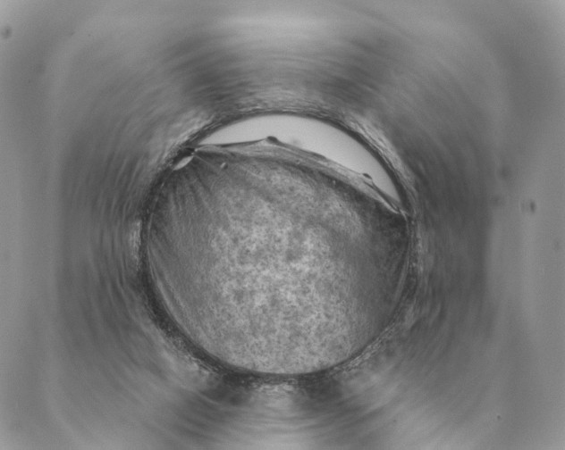 X0000088830066200706281806