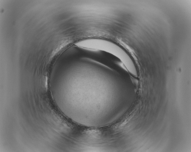 X0000088830067200706281806