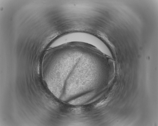 X0000088830068200706281806