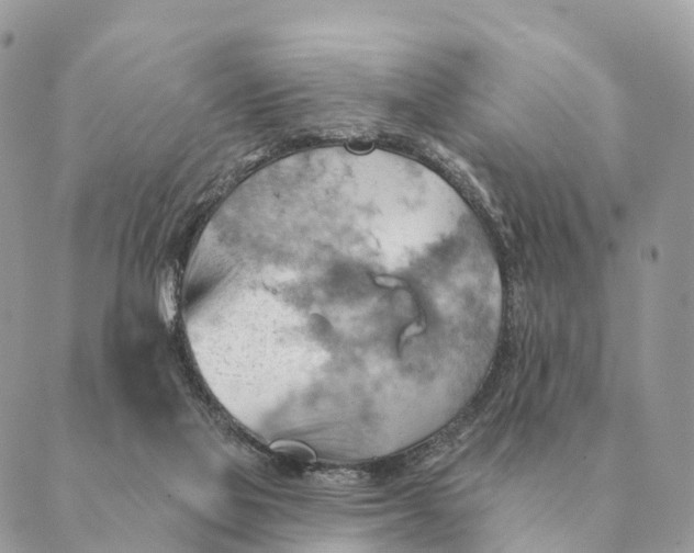 X0000088830069200706281806