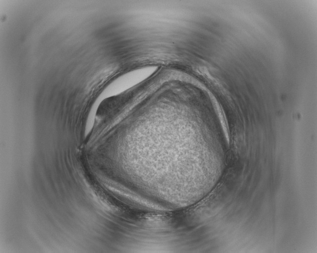 X0000088830070200706281806