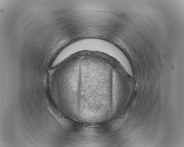 X0000088830072200706281806