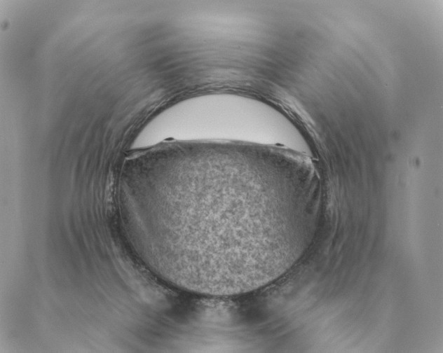 X0000088830073200706281806