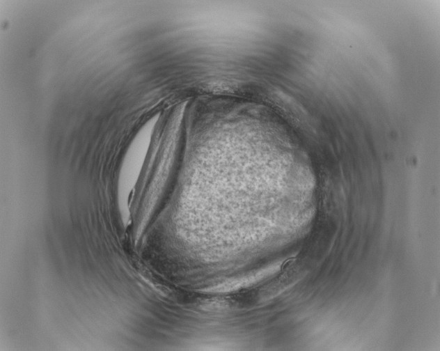 X0000088830075200706281806