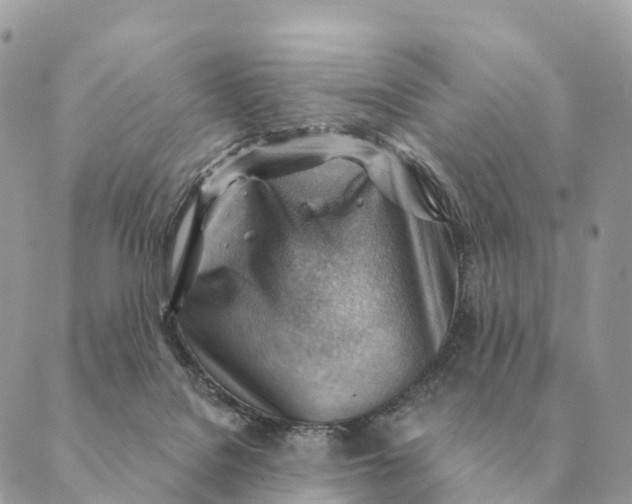 X0000088830076200706281806