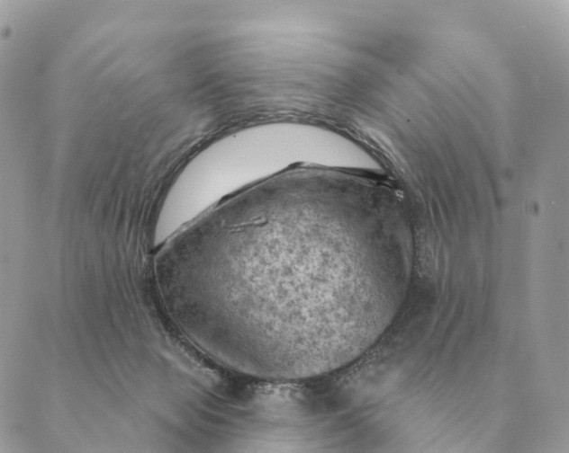 X0000088830077200706281806