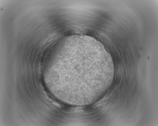 X0000088830078200706281806