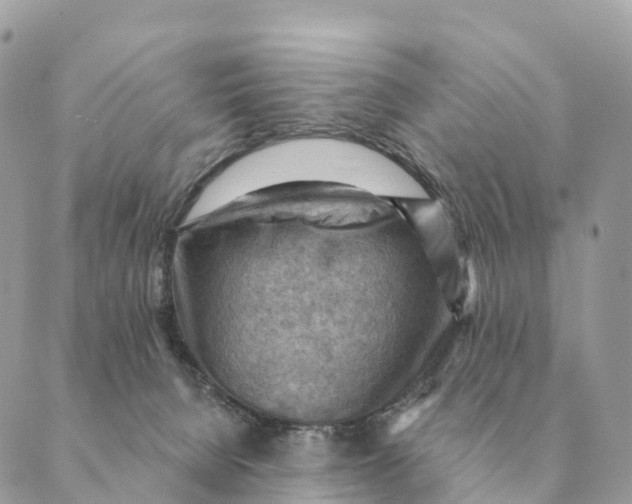 X0000088830080200706281806