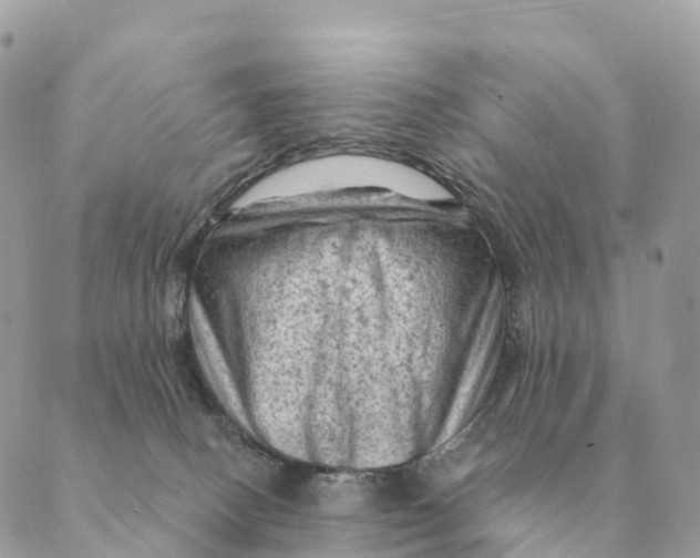 X0000088830082200706281806