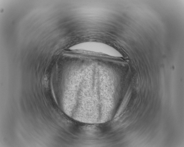 X0000088830086200706281806