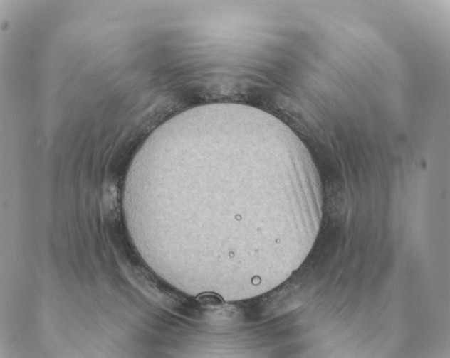 X0000088830087200706281806