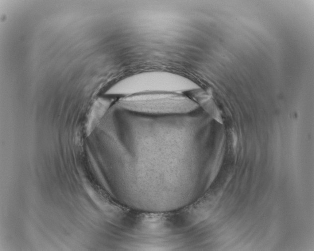 X0000088830088200706281806