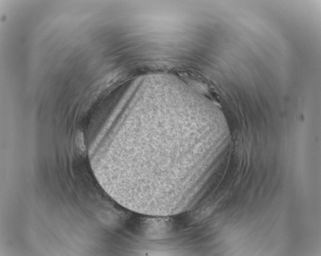 X0000088830089200706281807