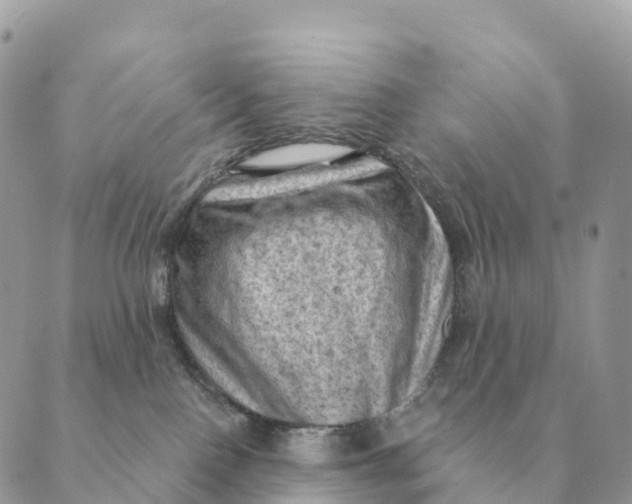 X0000088830090200706281807