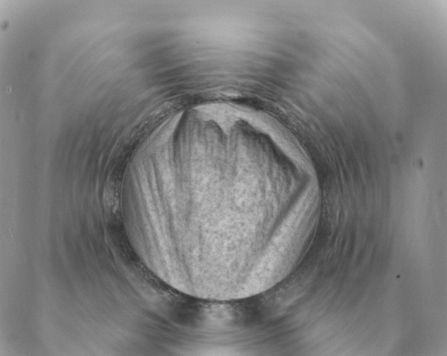 X0000088830091200706281807