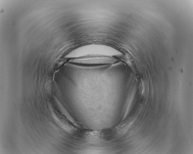 X0000088830092200706281807