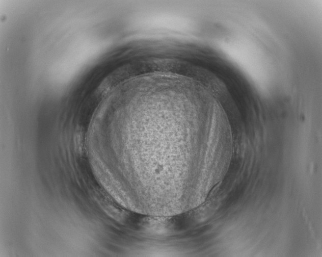 X0000088830093200706281807