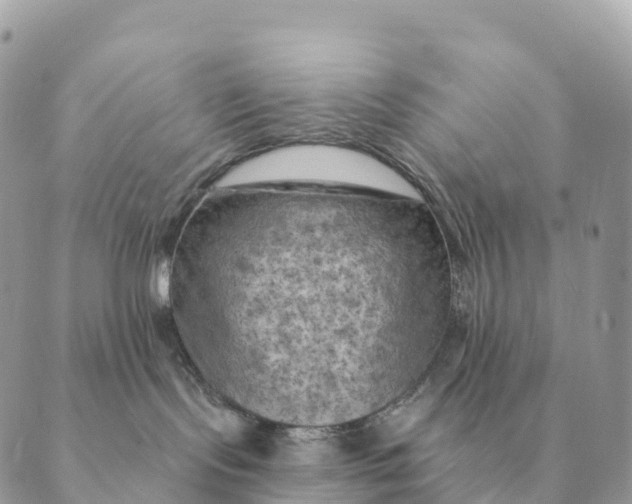 X0000088830095200706281807