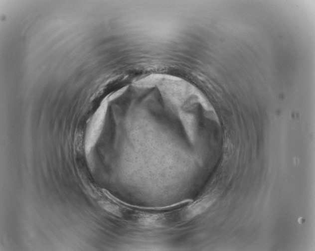 X0000088830096200706281807