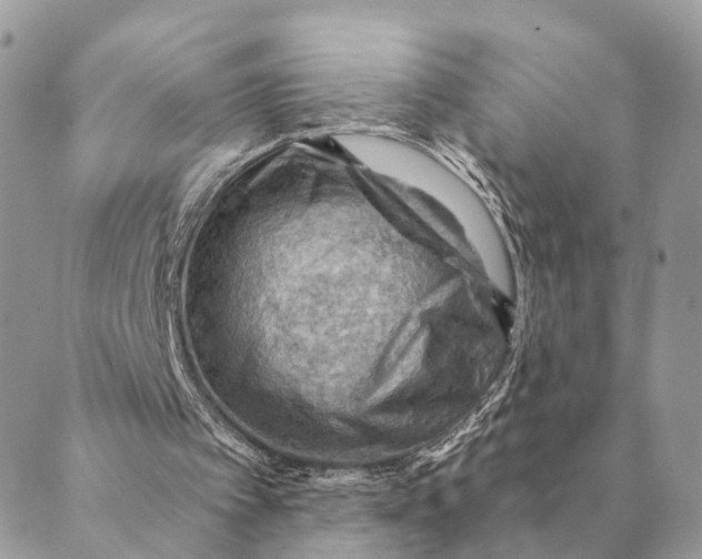 X0000088830097200706281806