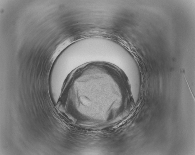 X0000088830099200706281806