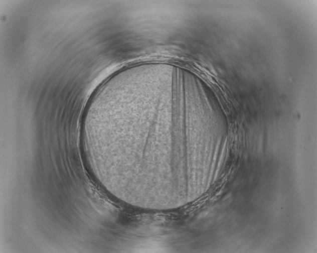 X0000088830100200706281806