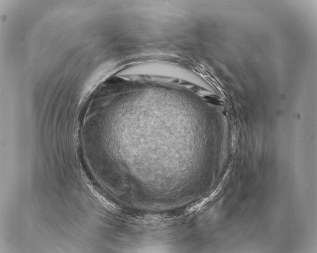 X0000088830101200706281806