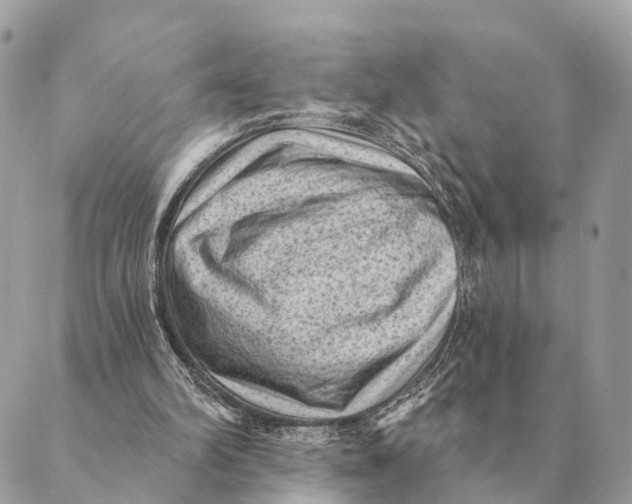 X0000088830102200706281806