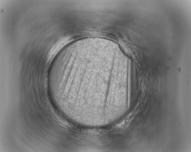 X0000088830103200706281806