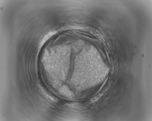 X0000088830104200706281806