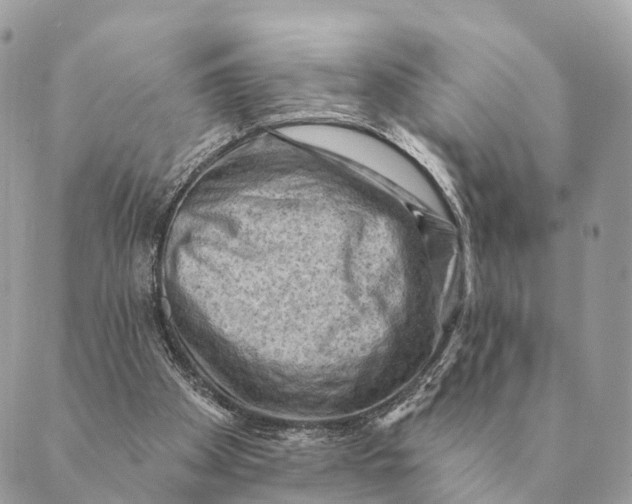 X0000088830105200706281806