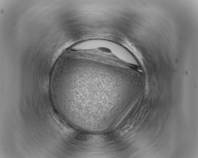 X0000088830107200706281806