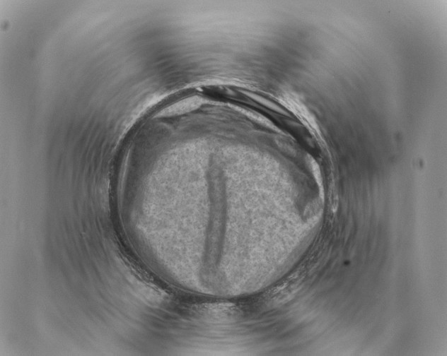 X0000088830108200706281806