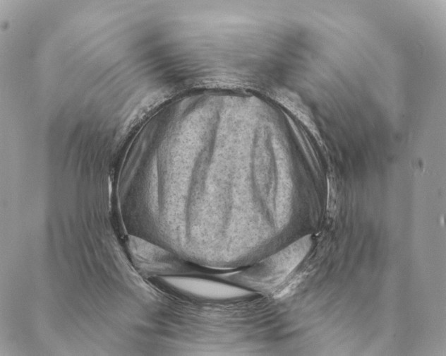 X0000088830109200706281806