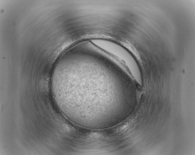 X0000088830111200706281806