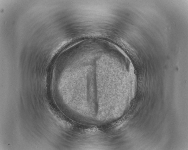 X0000088830112200706281806