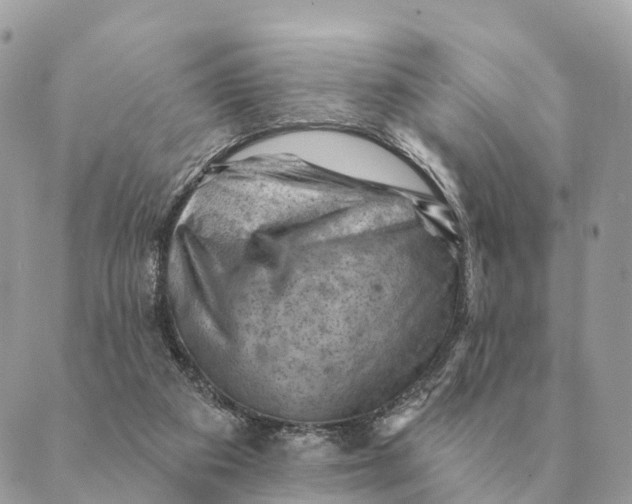 X0000088830113200706281806