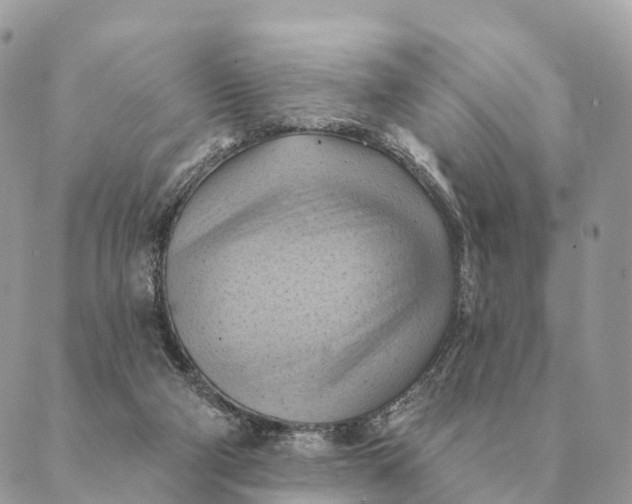 X0000088830114200706281806