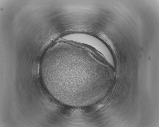 X0000088830115200706281806