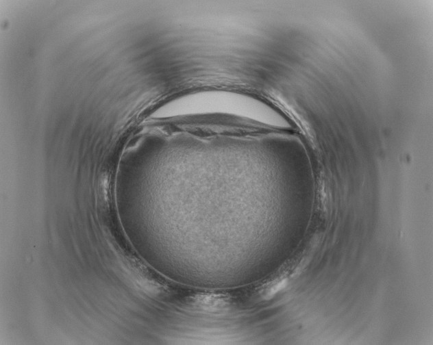 X0000088830117200706281806