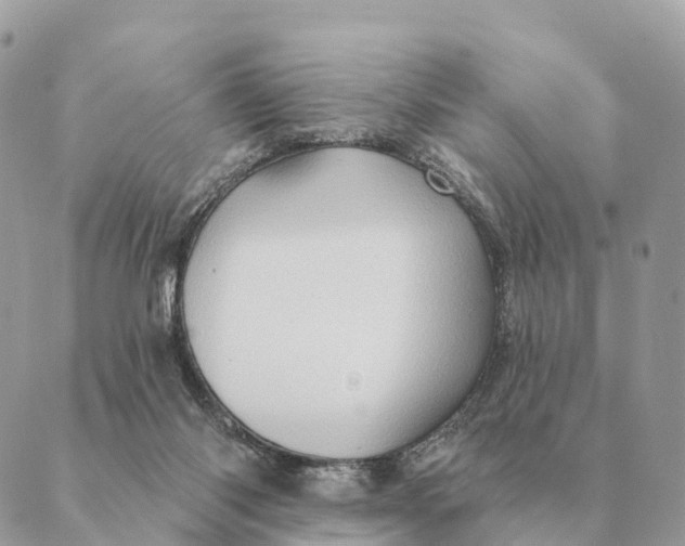 X0000088830118200706281805