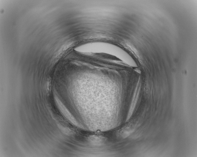 X0000088830119200706281805