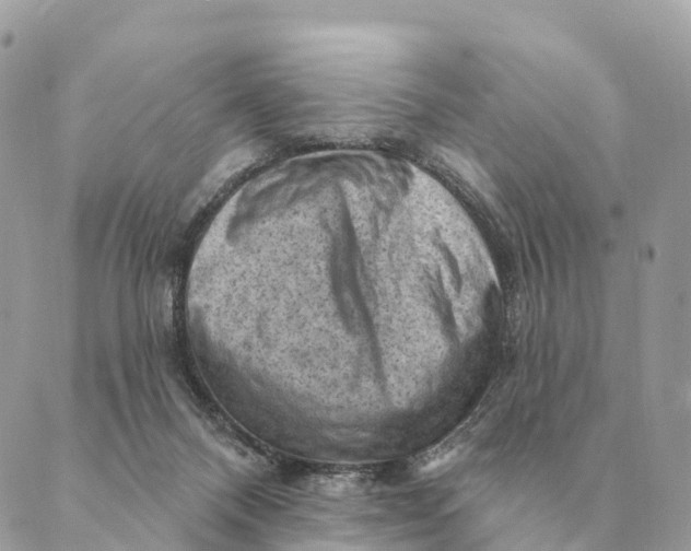 X0000088830120200706281805