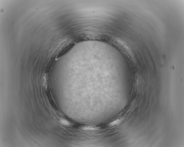 X0000088830121200706281805