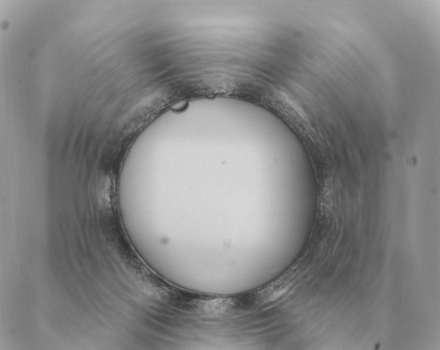 X0000088830122200706281805